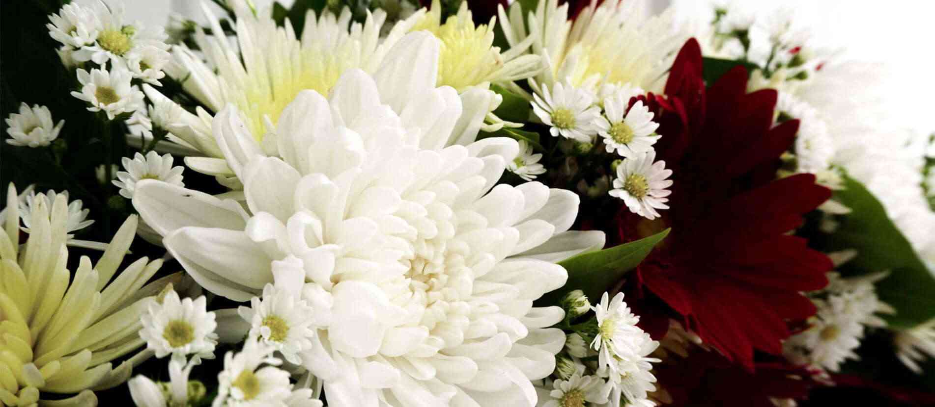 ดอกไม้สีขาวล้อมรอบด้วยดอกไม้นานาชนิดสำหรับตกแต่งลงพวงหรีด