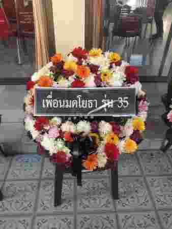 W004 ดาริน