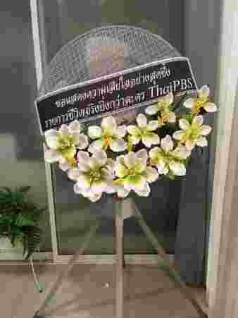 S044 เจนลิน