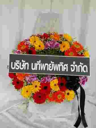 W004 ดาริน