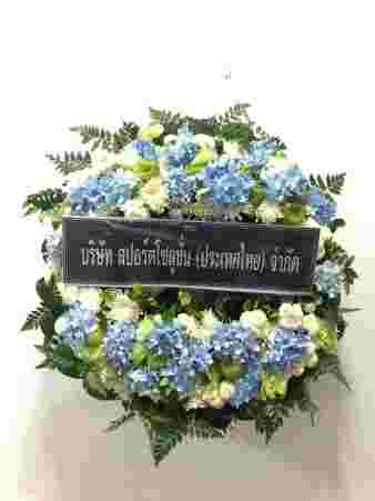 W023 เมลินดา