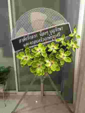 S045 มาทิลด้า