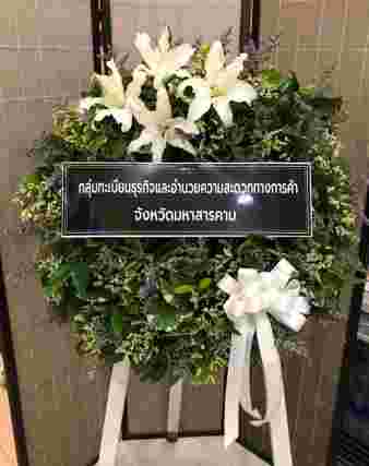 W027 เอมิลี่