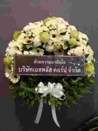 K007 – ธเนศ