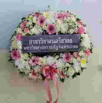 ประวัติการจัดส่ง