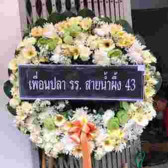W012 ลาทิชา
