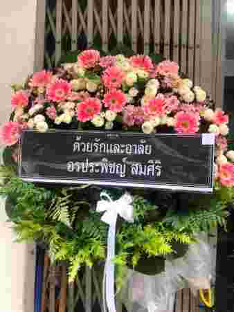 K007 – ธเนศ