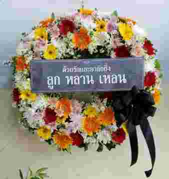 W004 ดาริน