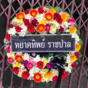 W004 ดาริน