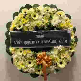 W012 ลาทิชา