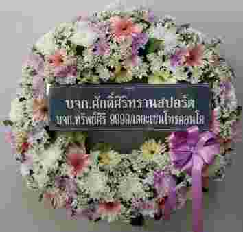 W010 อัณยา