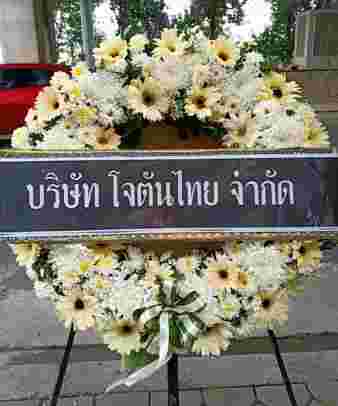 W012 ลาทิชา