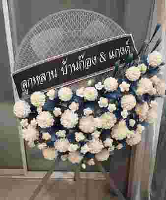 S051 อแมนด้า
