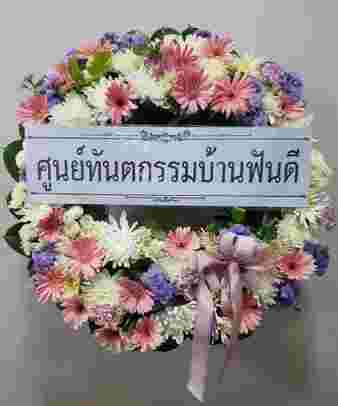 W010 อัณยา